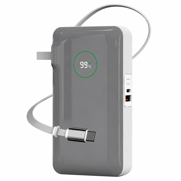 Внешний аккумулятор Wiwu 10000 mAh 35W + EU + кабель Серый
