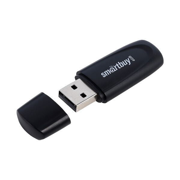 Флеш память USB 4Gb Smart Buy Scout Черный